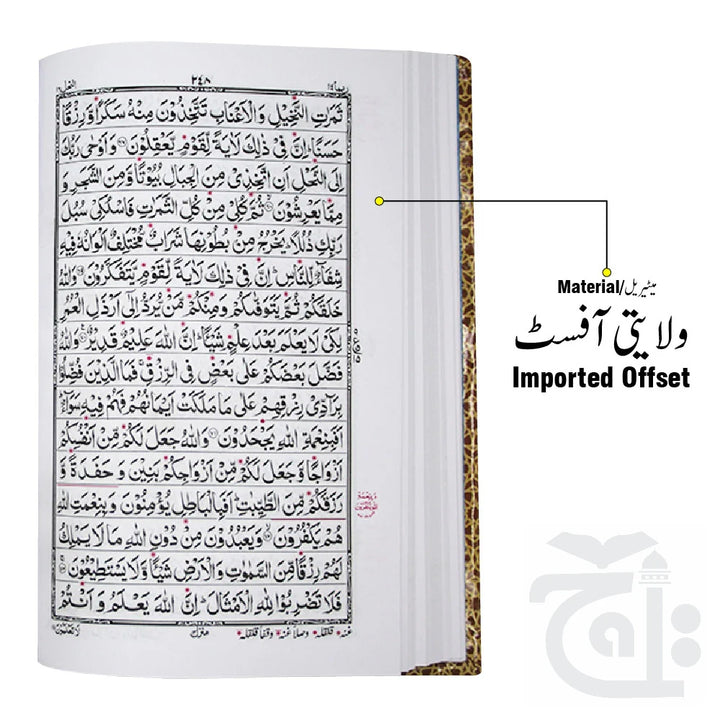 Holy Quran Tajweedi 876-2L