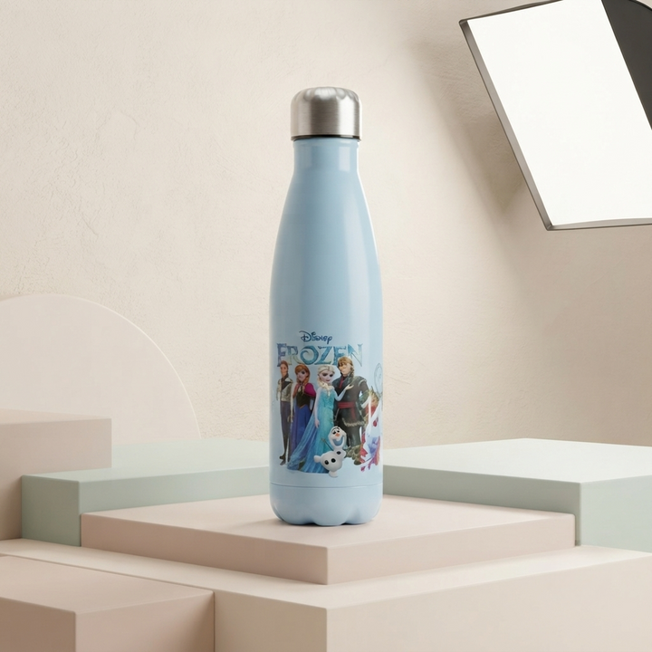 🧊 Disney Frozen Stainless Steel Insulated Water Bottle for Kids | Leakproof Vacuum Flask