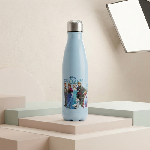 🧊 Disney Frozen Stainless Steel Insulated Water Bottle for Kids | Leakproof Vacuum Flask