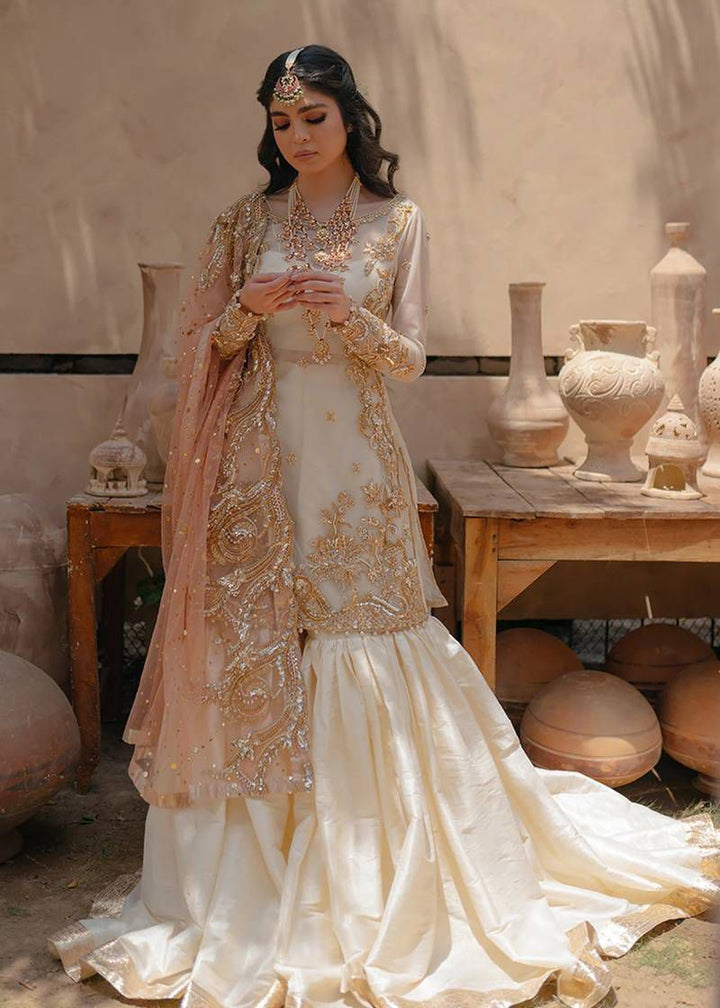 Premium Organza Suit 🌸 | Net Dupatta & Silk Trouser