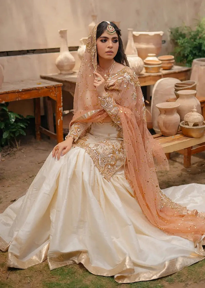 Premium Organza Suit 🌸 | Net Dupatta & Silk Trouser