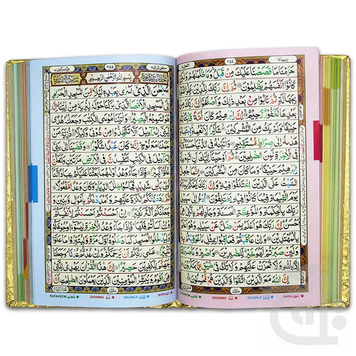 Holy Quran Tajweedi Rainbow Golden(16 Line) 876-7G